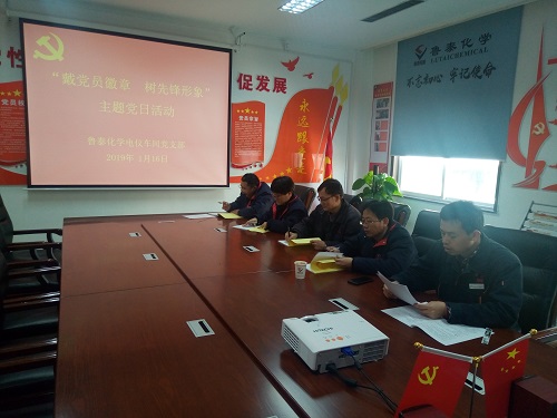 1电仪车间党支部：组织开展”戴党员徽章 树先锋形象”主题党日活动.jpg