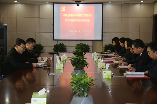 鲁泰化学召开2018年度领导班子民主生活会.JPG