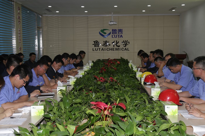 鲁泰化学召开五月份安全例会 DOC 文档.JPG