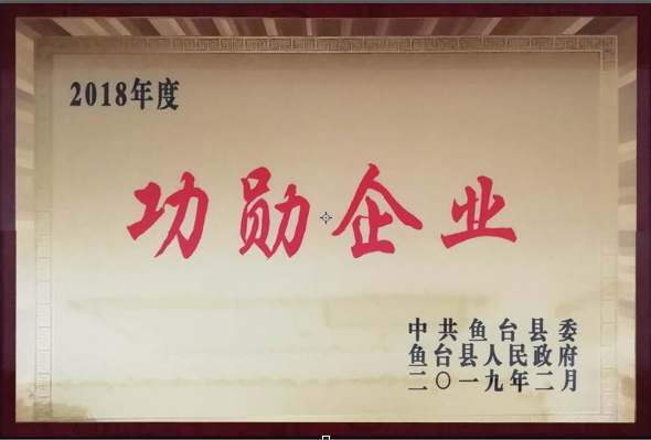 1鲁泰化学喜获“功勋企业”.png