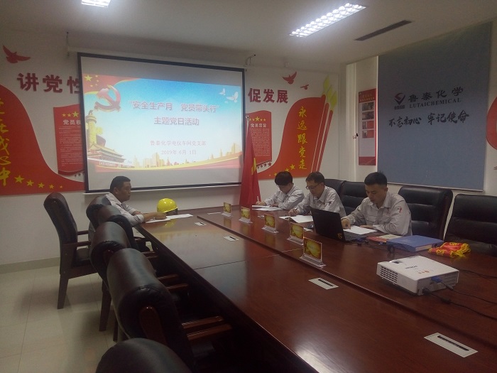 6.3电仪车间党支部：组织开展“安全生产月 党员带头行”主题党日活动 (2).jpg