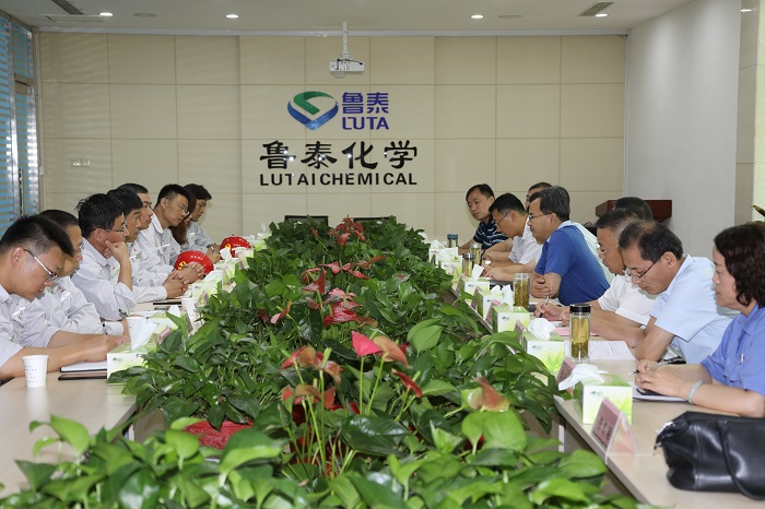 7.18集团公司领导来鲁泰化学检查指导精益管理工作.JPG