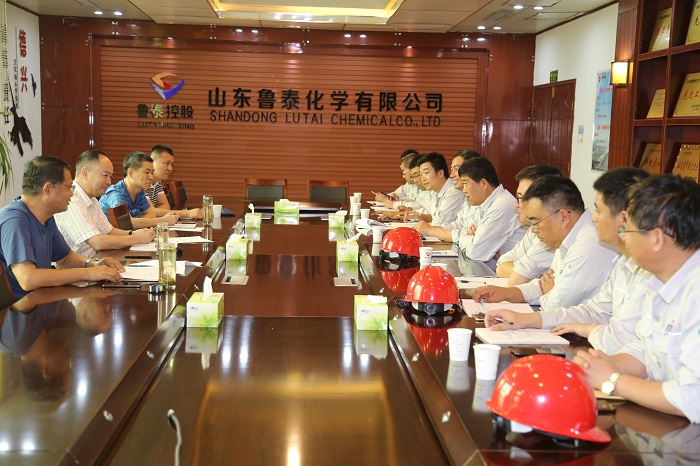 集团公司领导来鲁泰化学进行安全生产督查 DOC 文档 (4).JPG