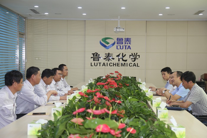 集团公司领导来鲁泰化学督导建国70周年期间安全生产工作 DOC 文档 (2).JPG